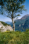 Triangolo Lariano - dal Sasso di Preguda di fronte alle Grigne. 